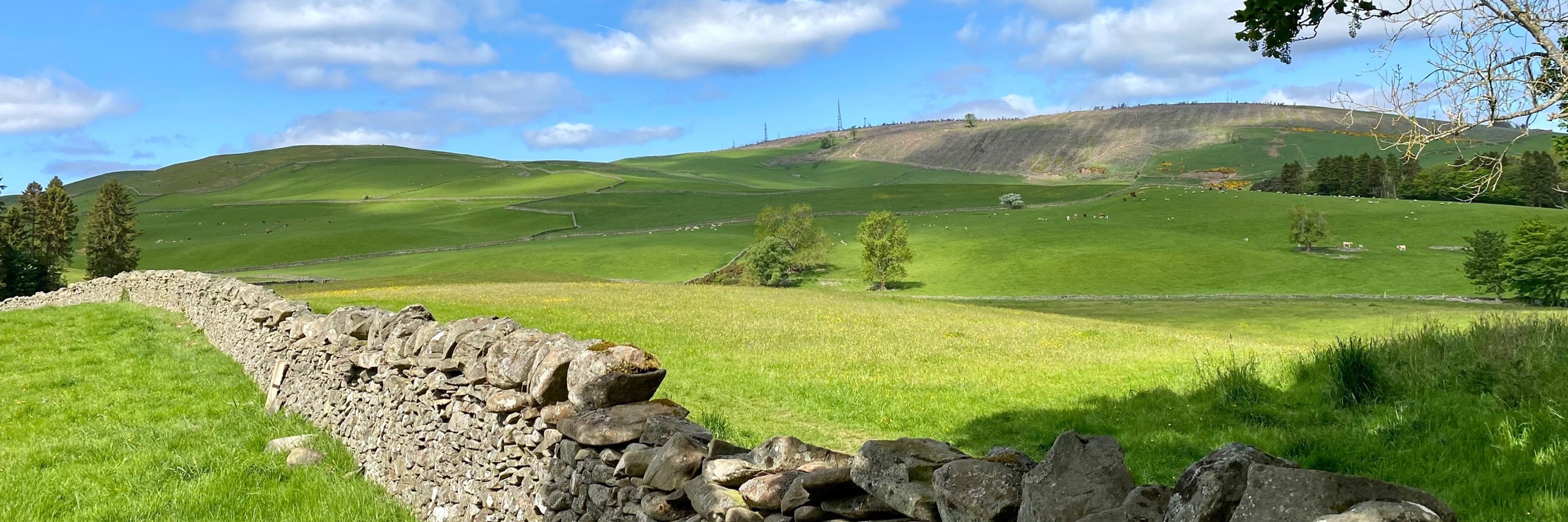 LJ Cholmondeley-Featherstonehaugh