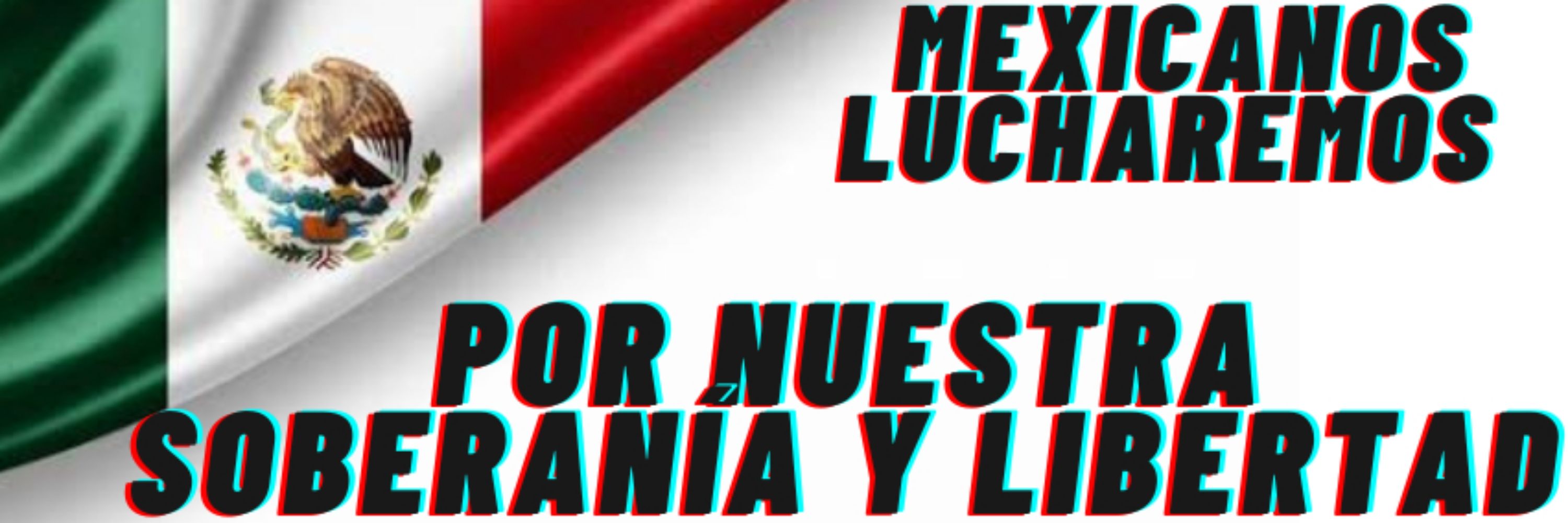 Pameviflo🇲🇽