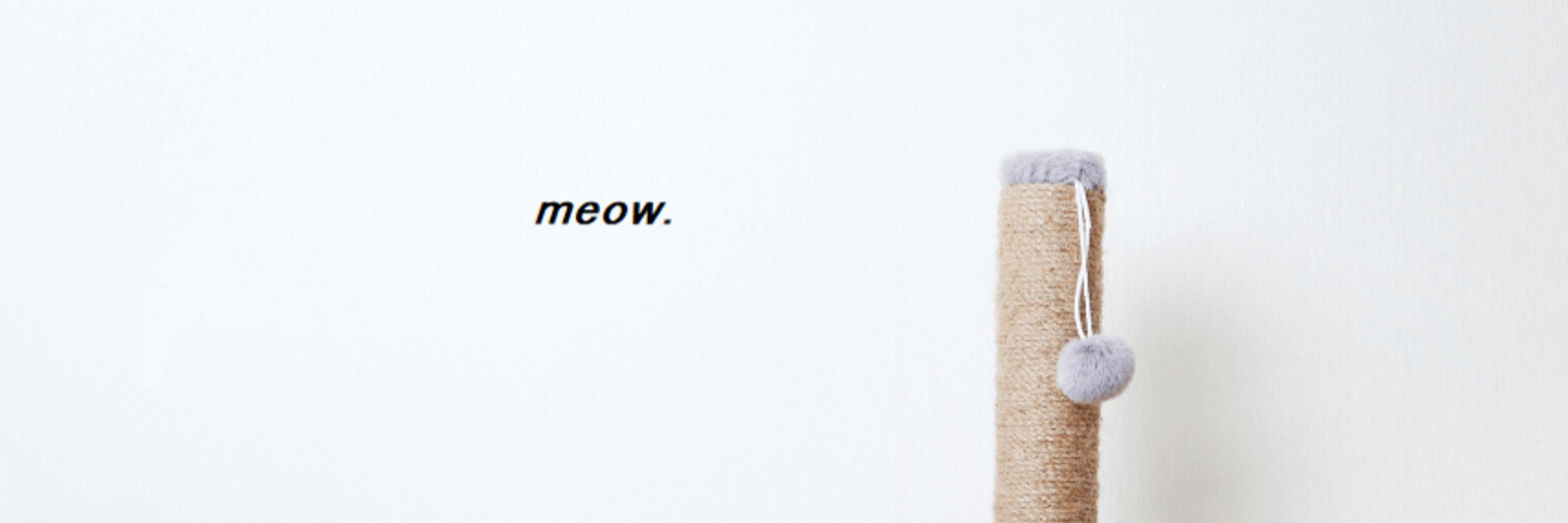 Mr. Cat
