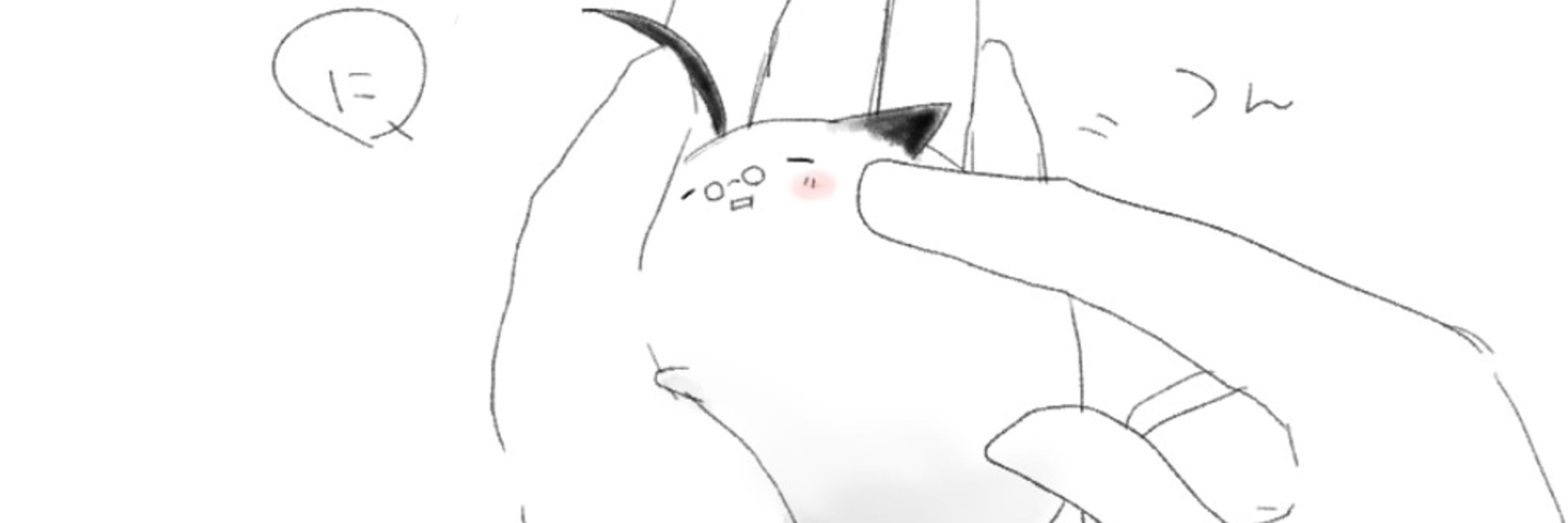 宙猫