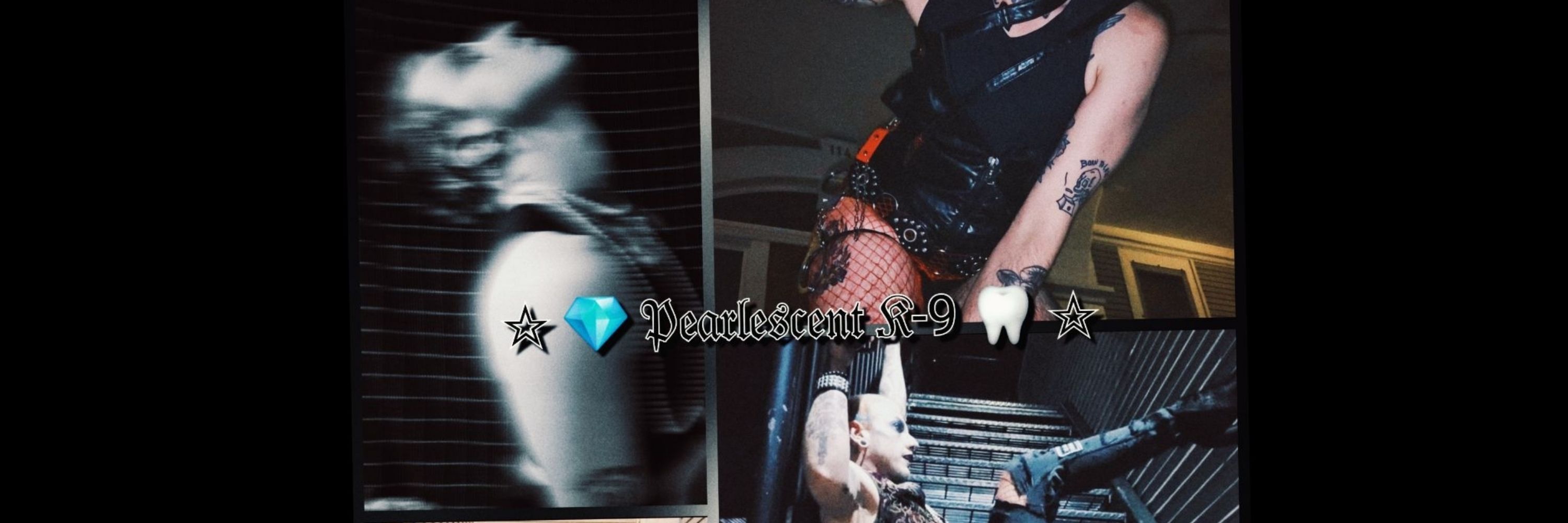 💎 𝔓𝔢𝔞𝔯𝔩𝔢𝔰𝔠𝔢𝔫𝔱 𝔎-9🦷