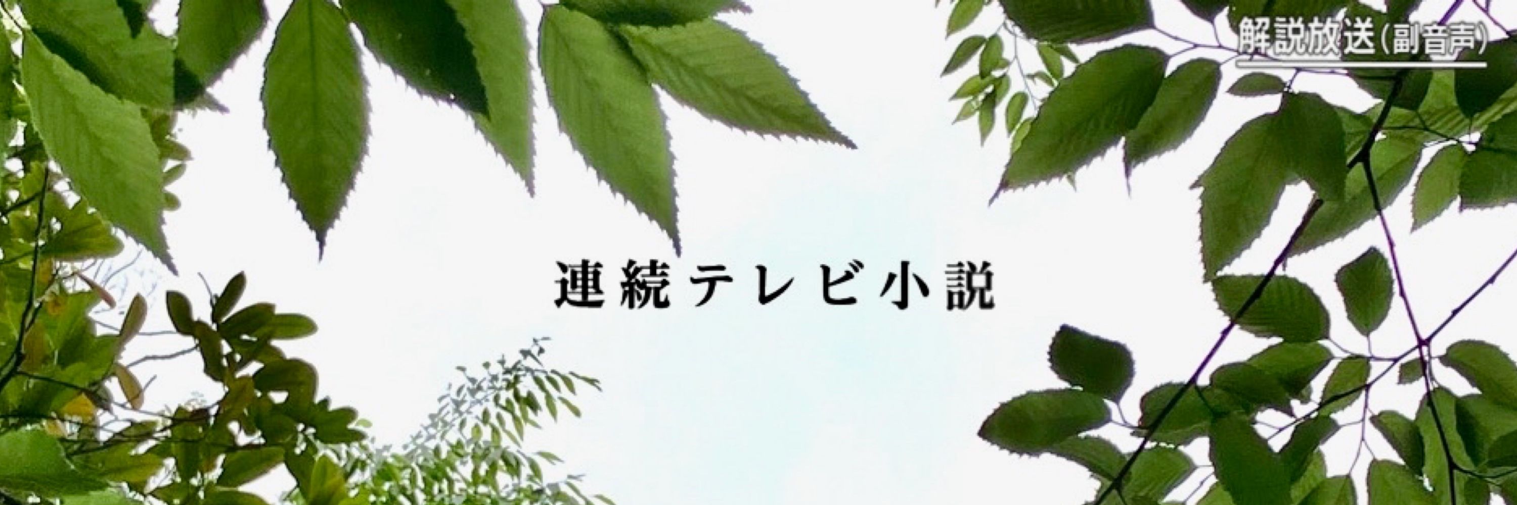 楓