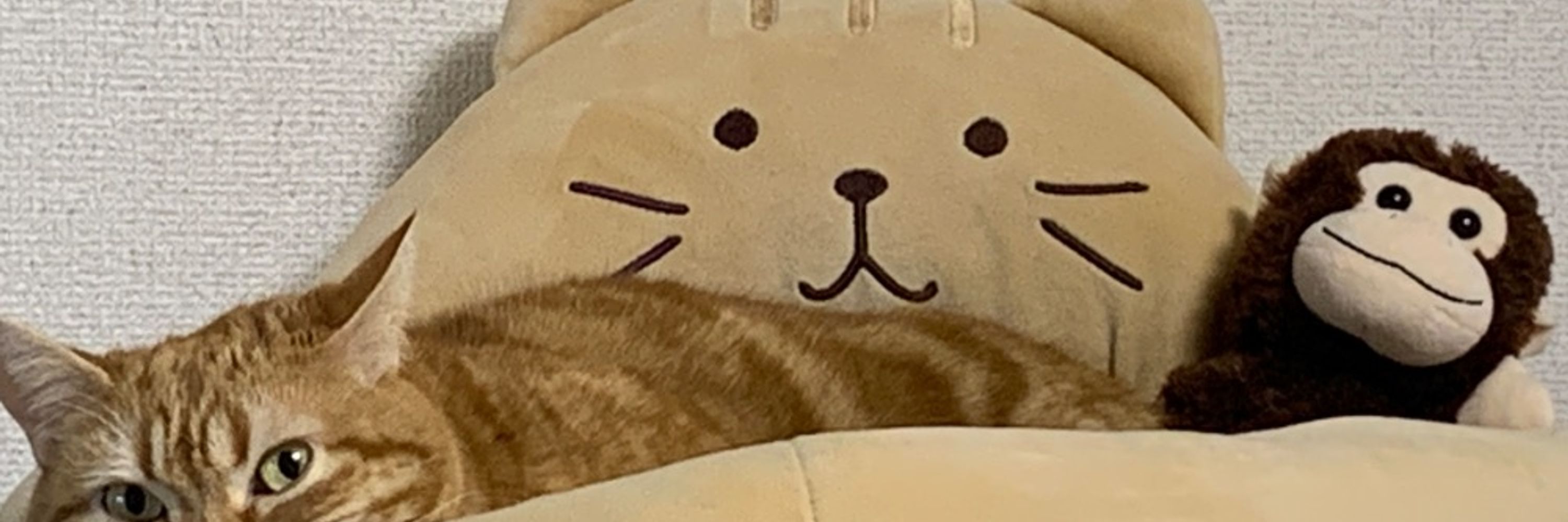 へぶ