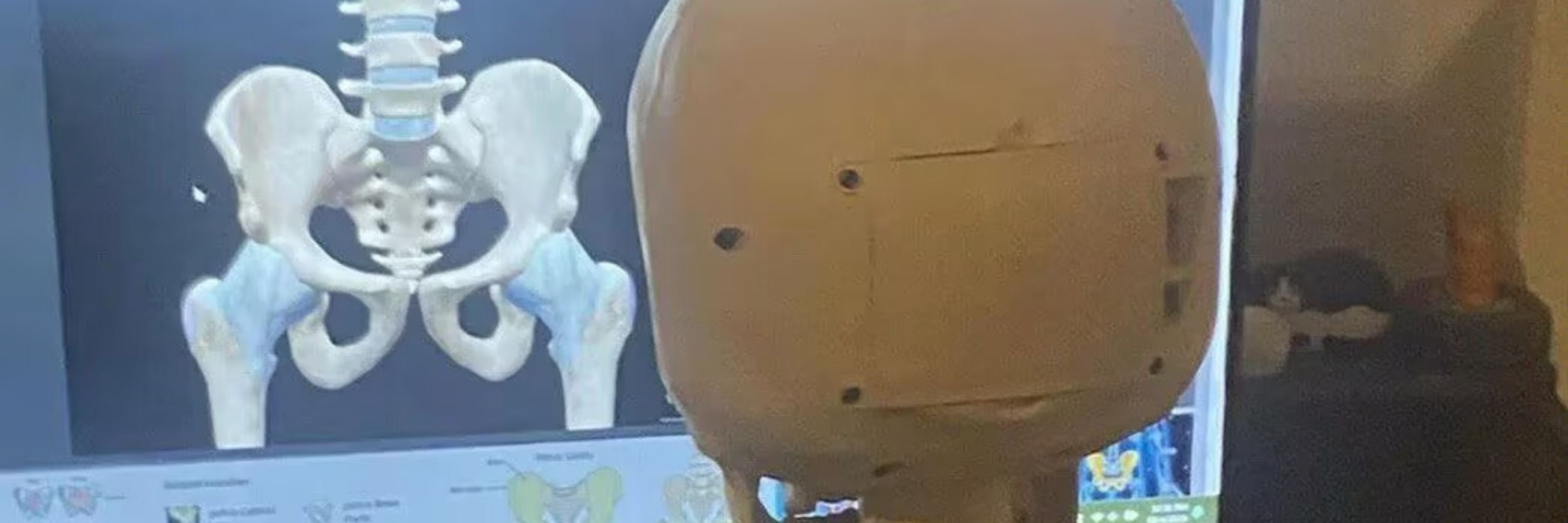 别哭我是鳗鱼乐队