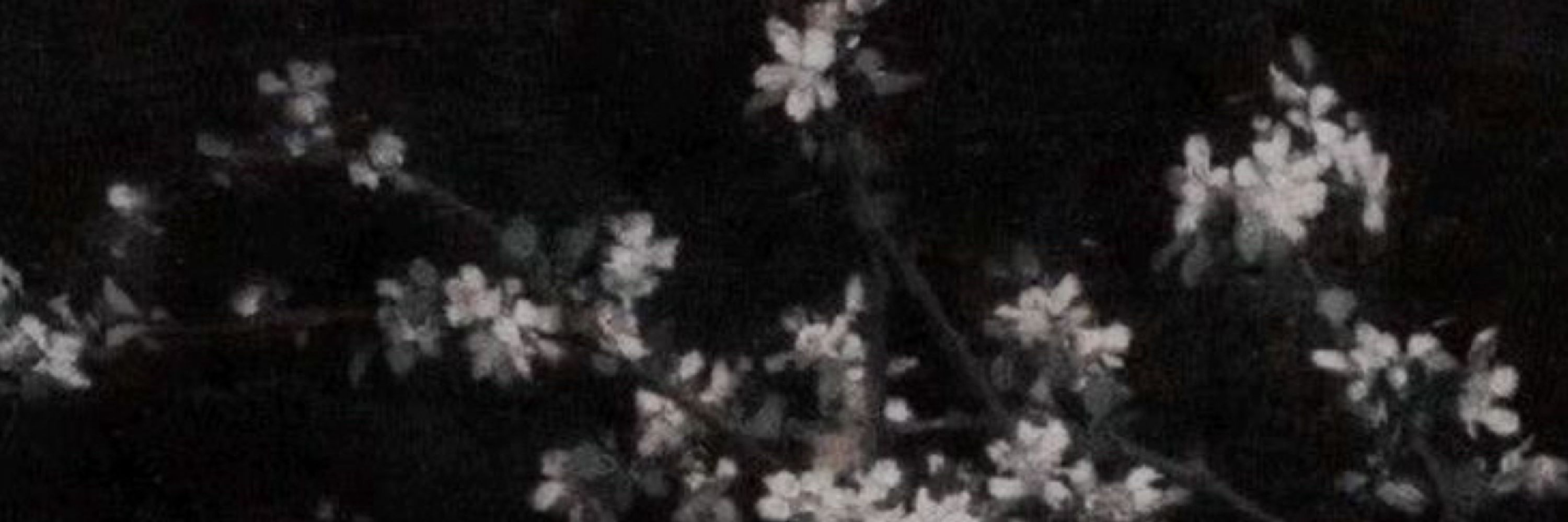 凛
