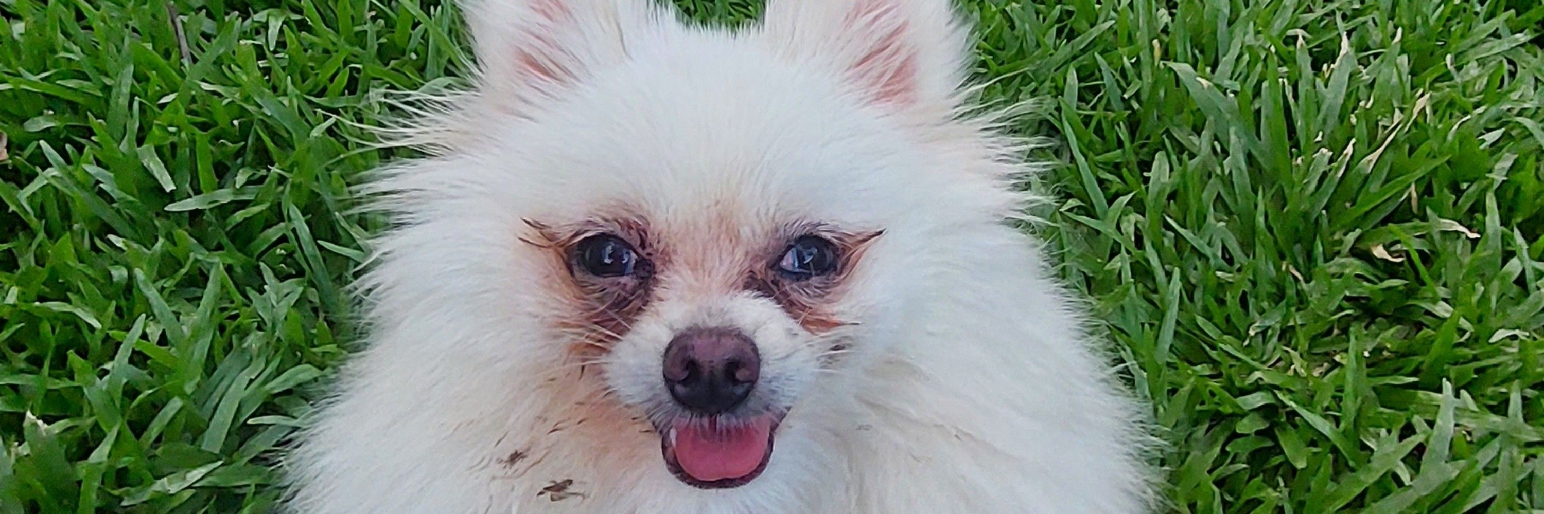 André