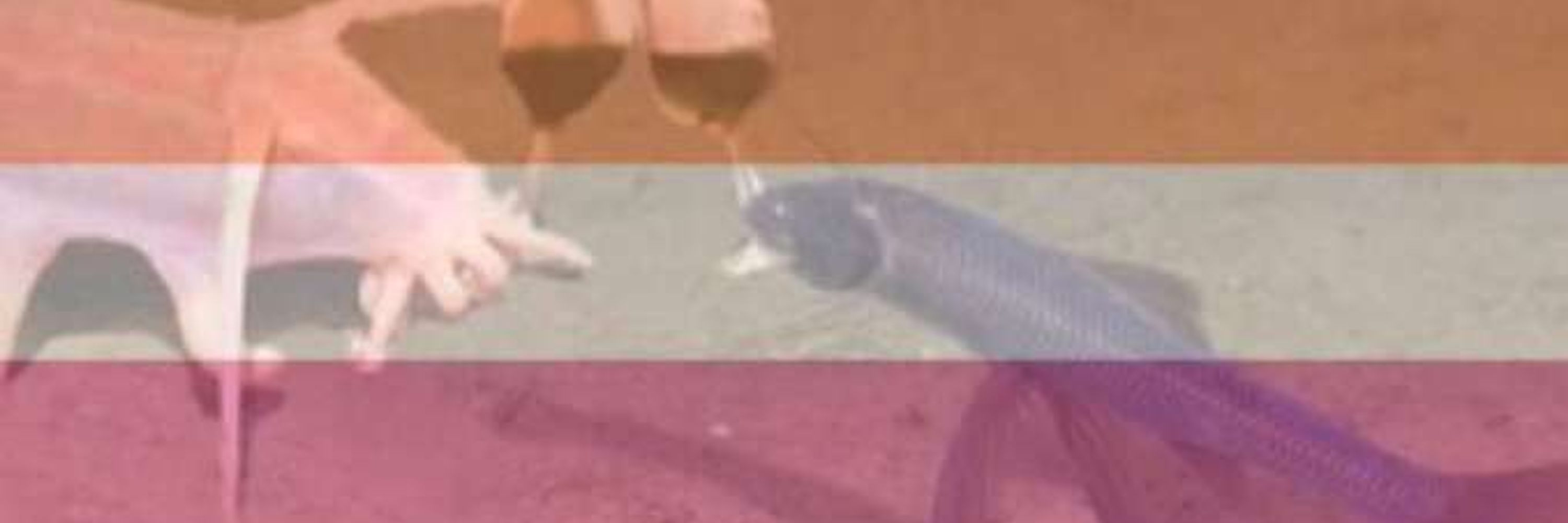 sapphic bimborg 🔞