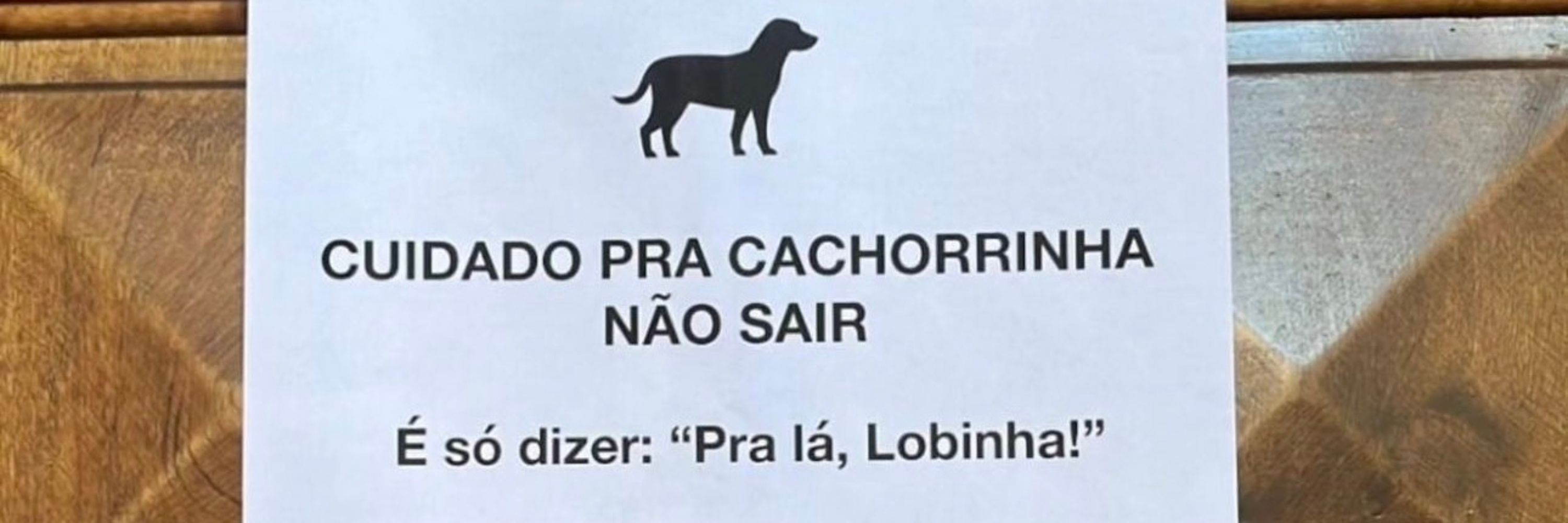 Lobinha