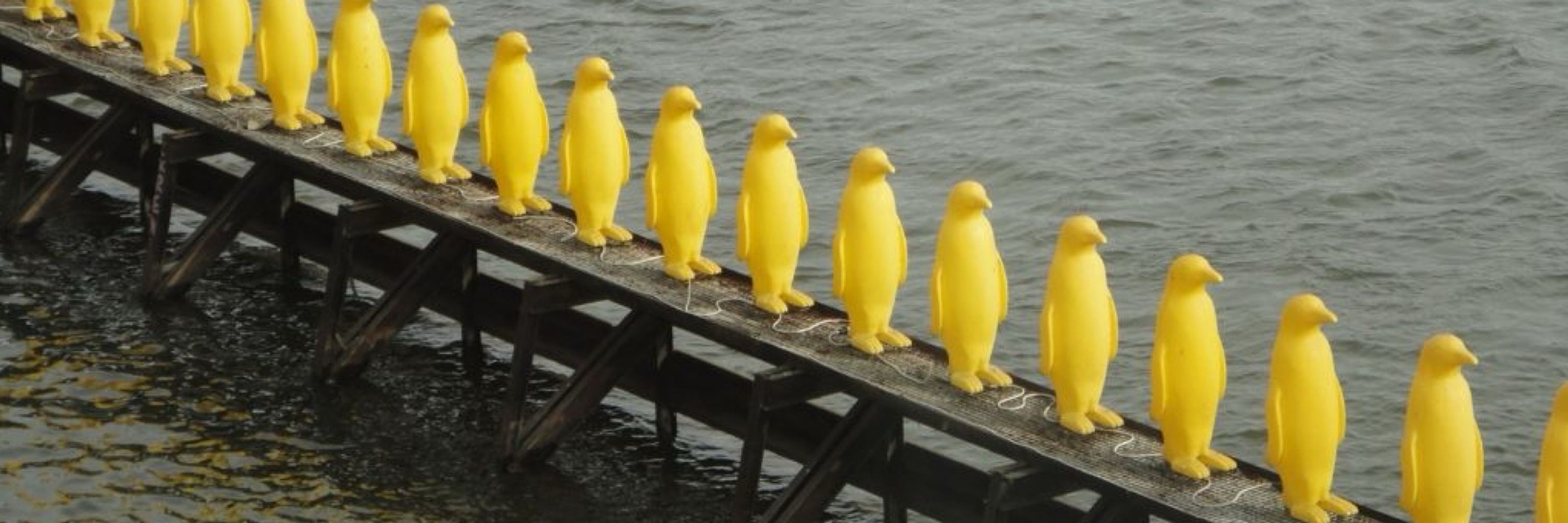 ı̣pןɐɹı̣ƃ ɐı̣pnɐןɔ