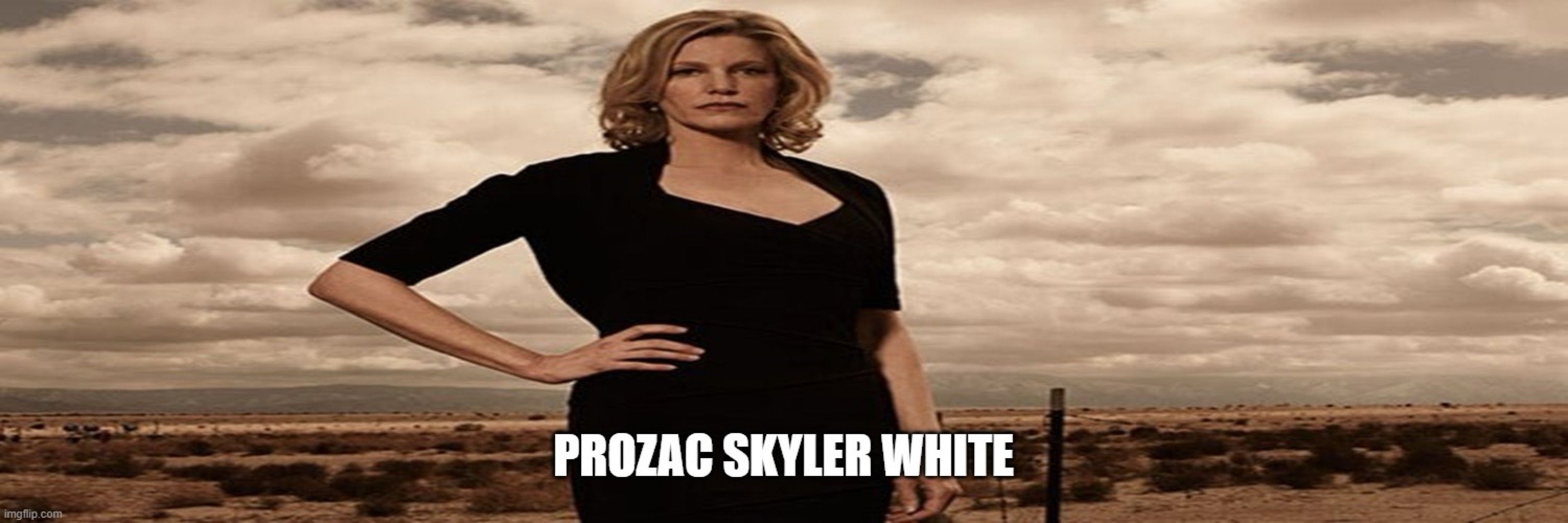 Skyler White