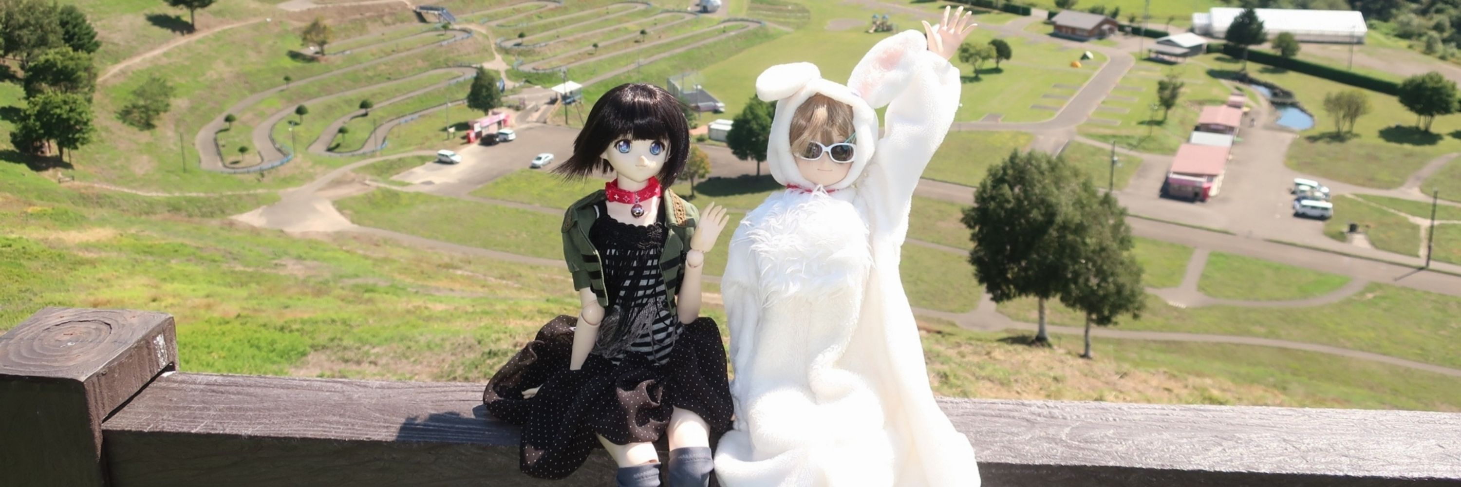 ほいちょい