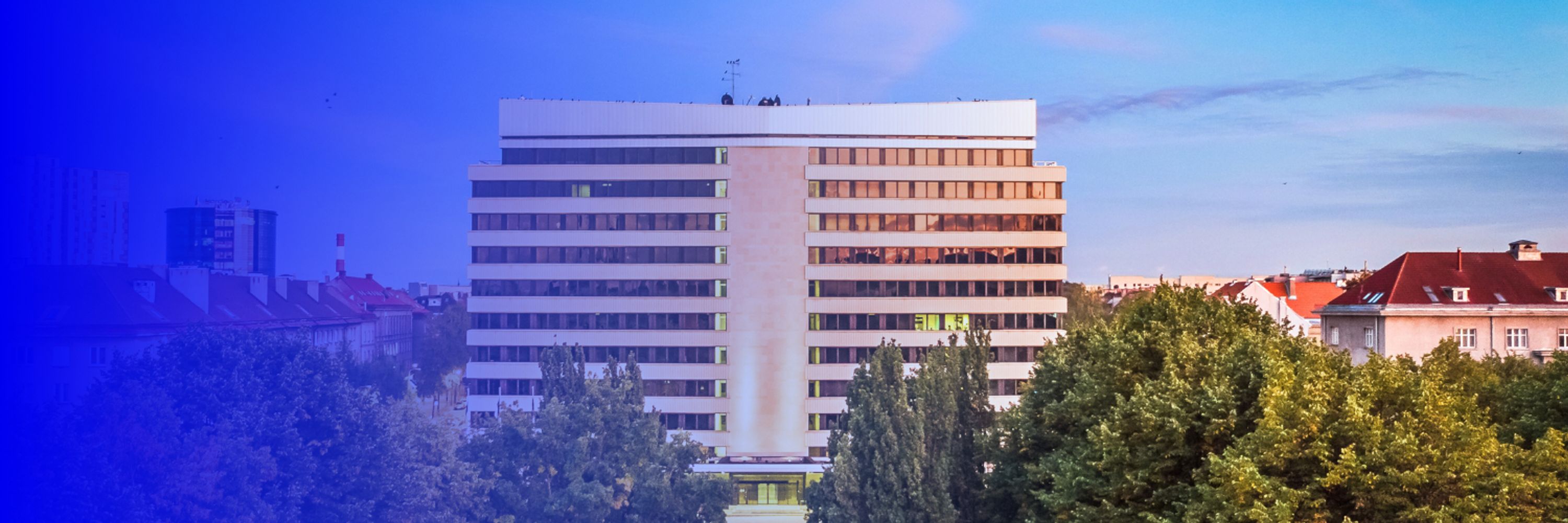 Estonian MFA
