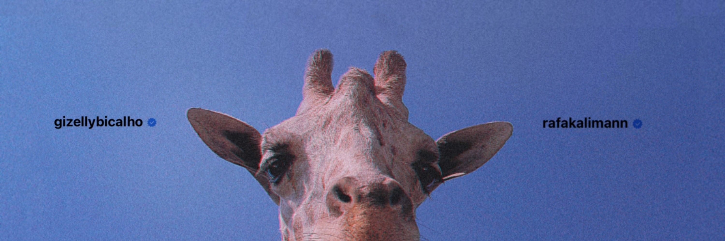 Portal Girafa 🦒