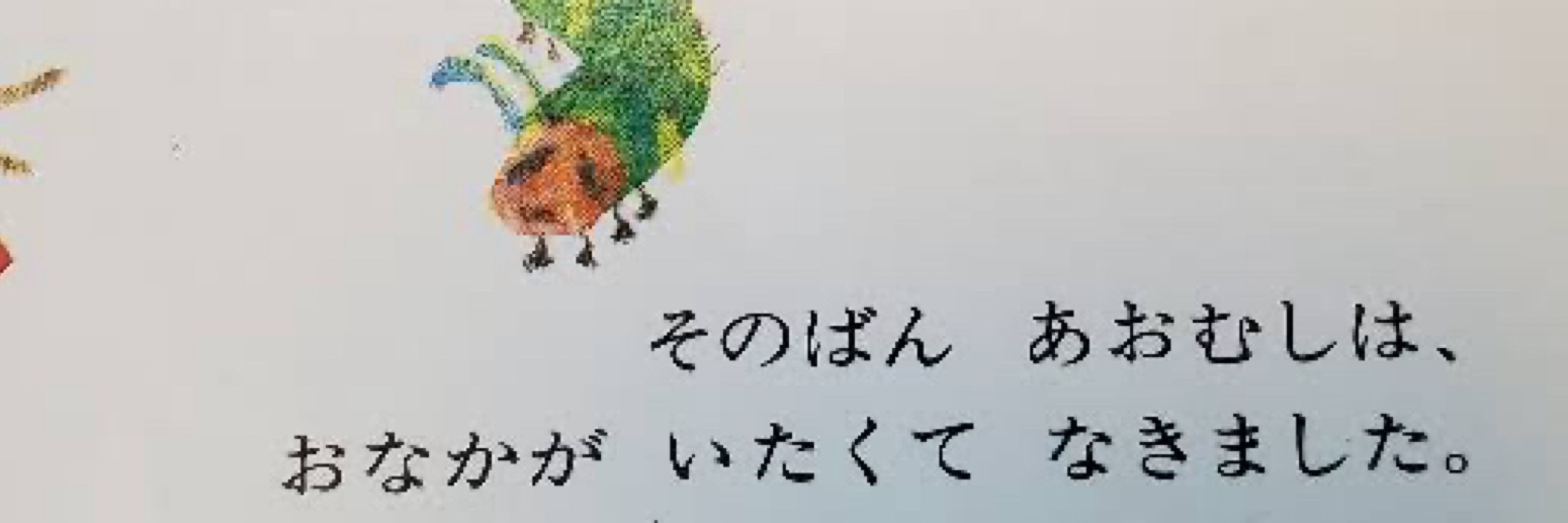 ｶﾋﾞｰ