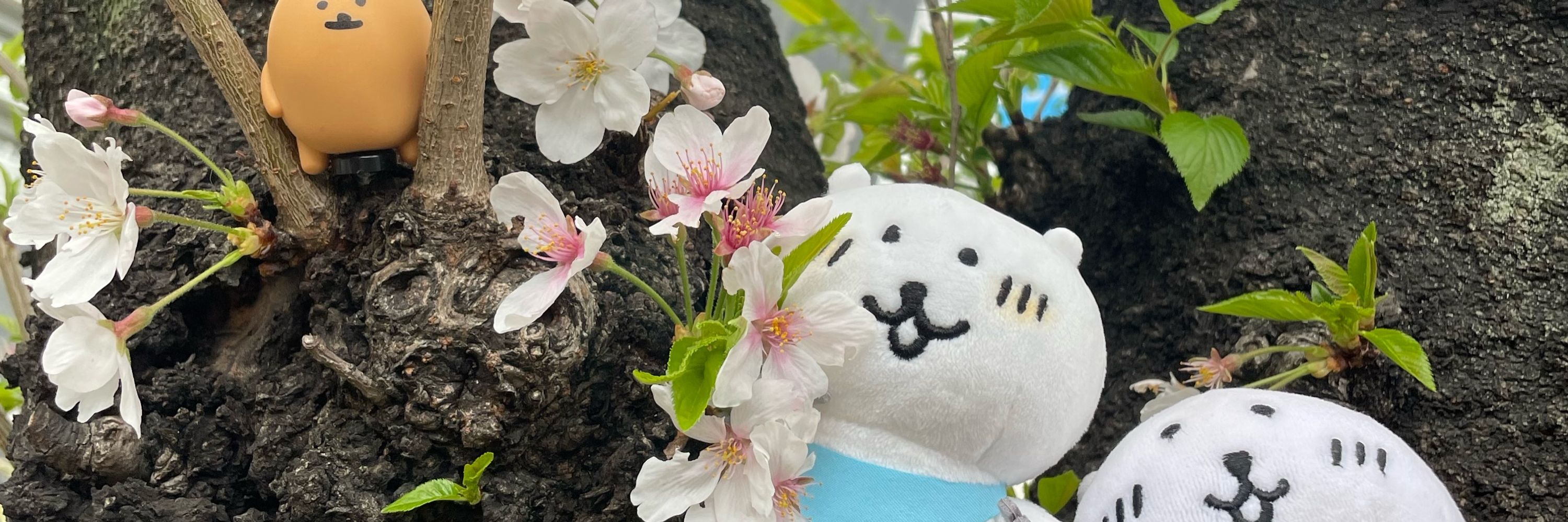 ズチッ