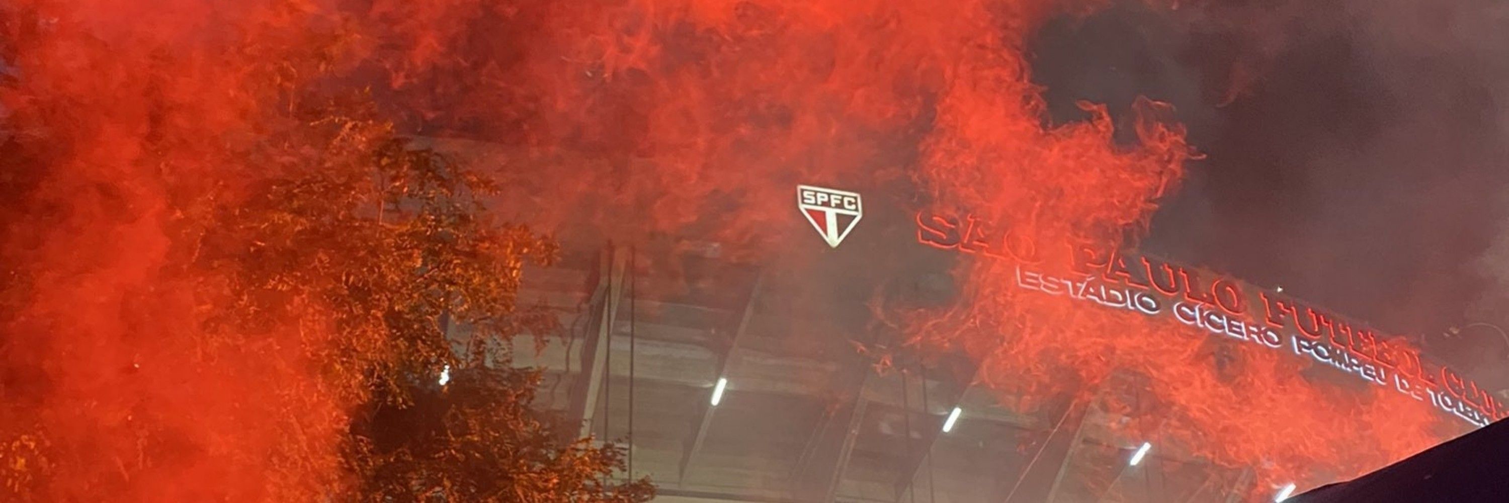 Grazy ˢᵖᶠᶜ 🇾🇪