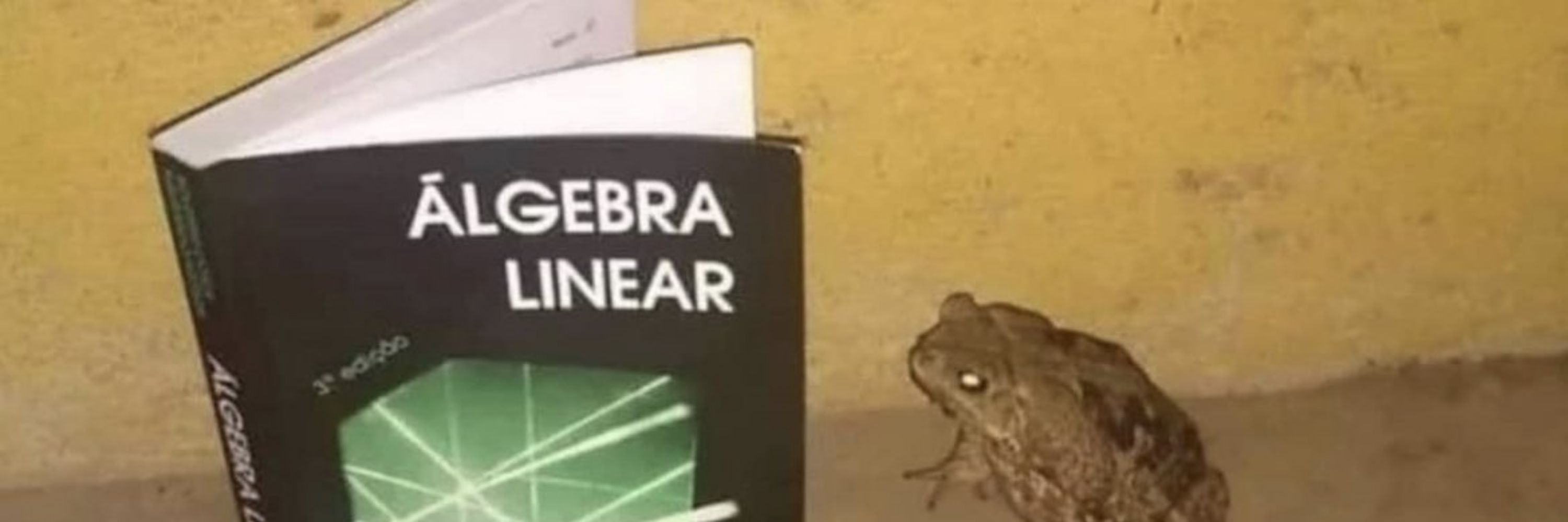 FrogBottom