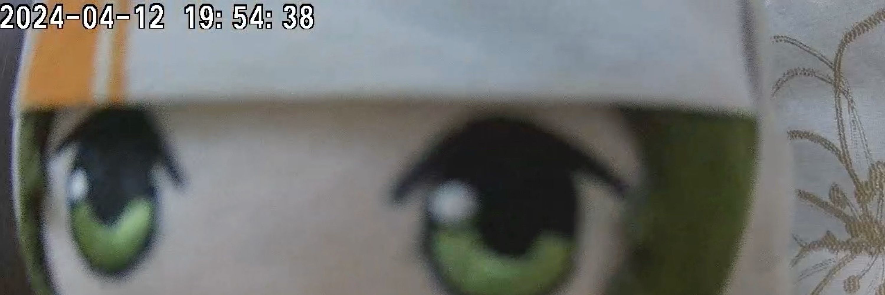 ヒモ
