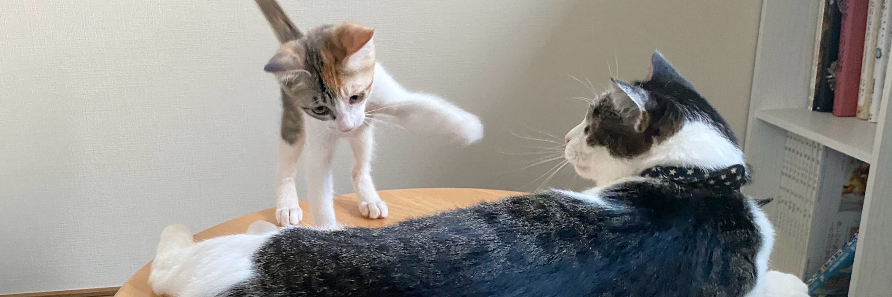 ひろ