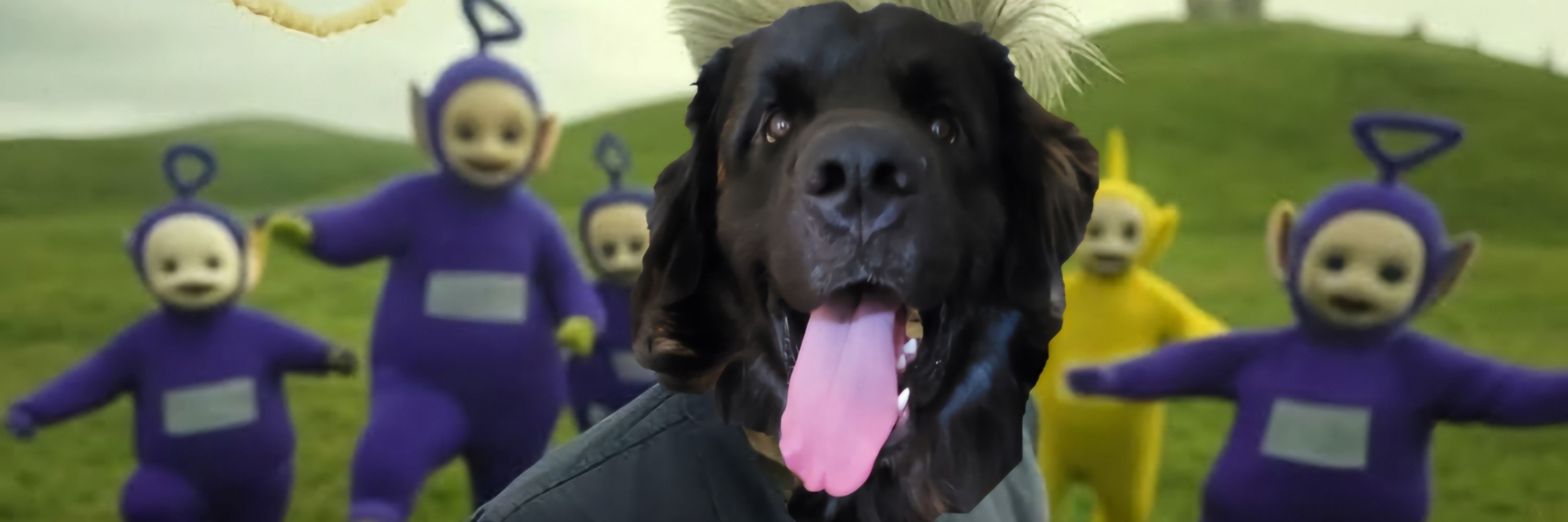 MooseySky