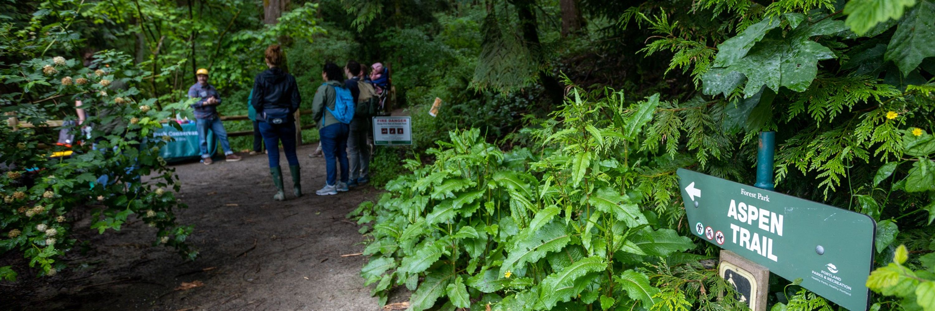 Forest Park Conservancy