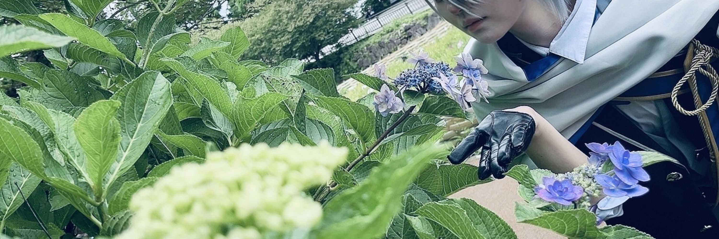 小豆