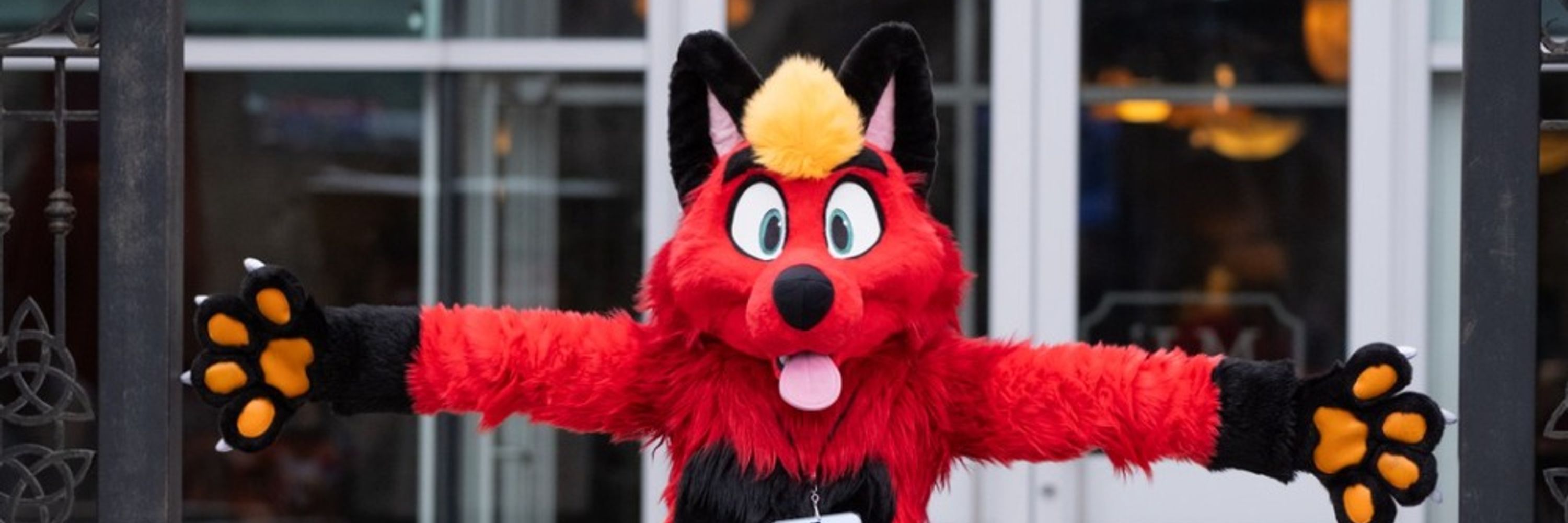 Fluffy red ball of tomfoolery