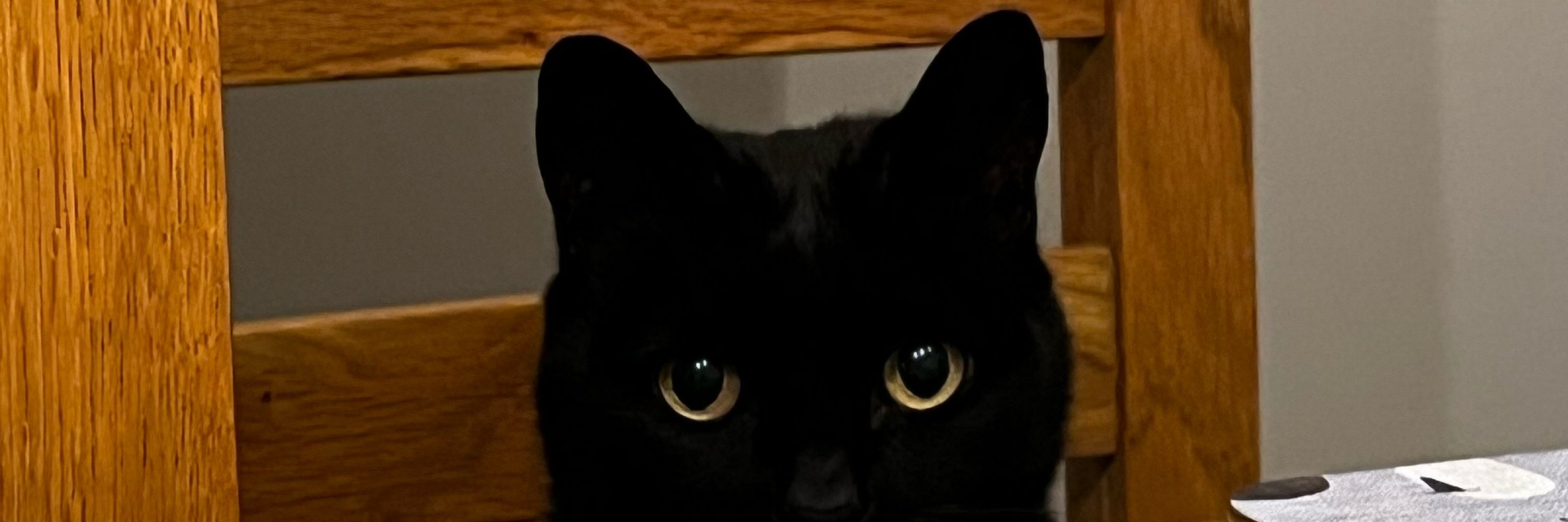 ben