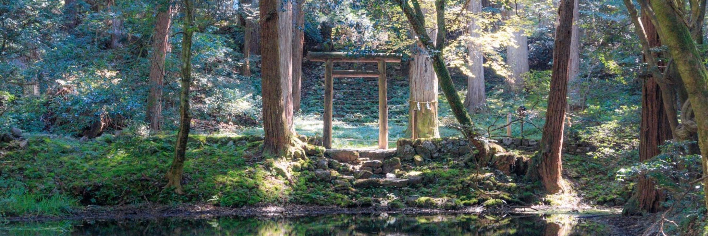 ちーこ