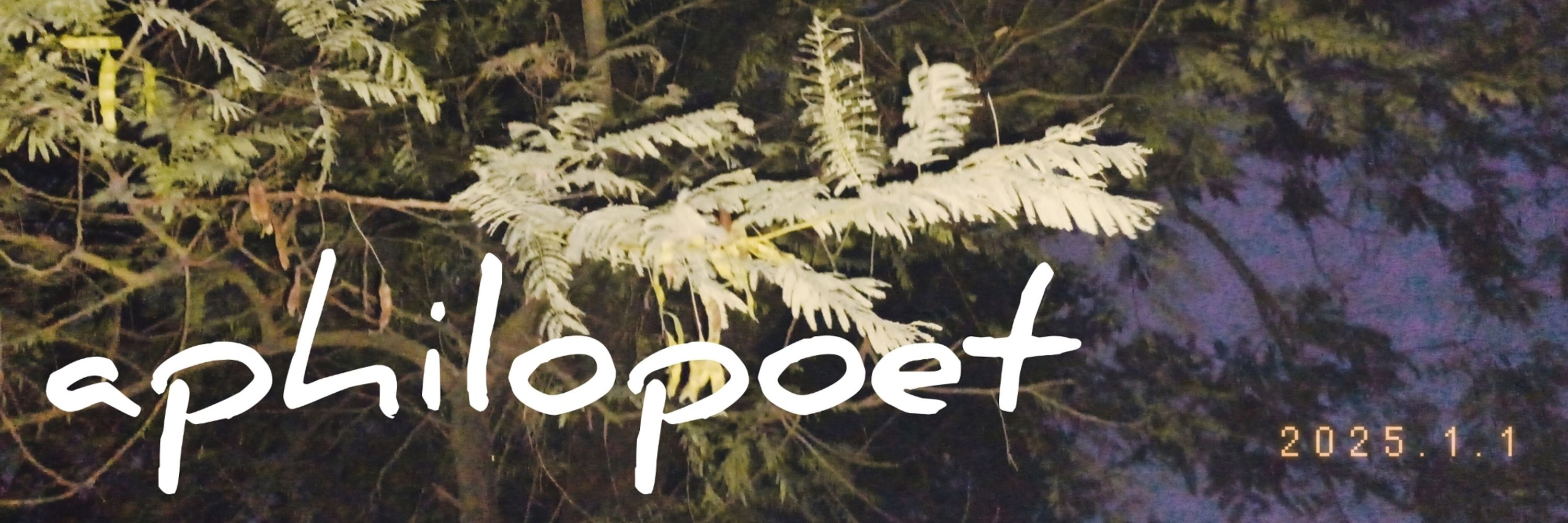aphilopoet