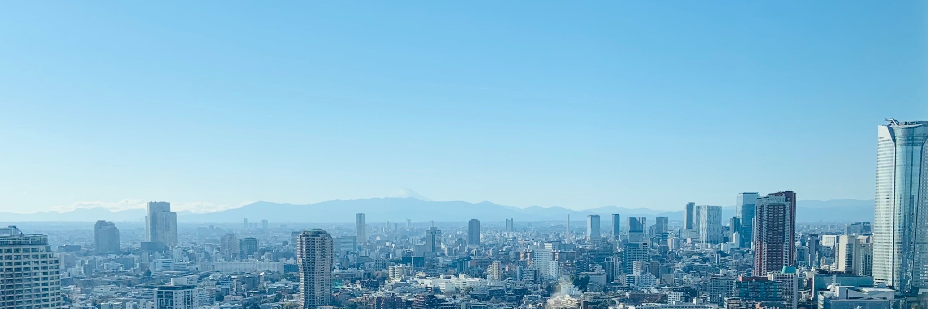 ウッディやばもと