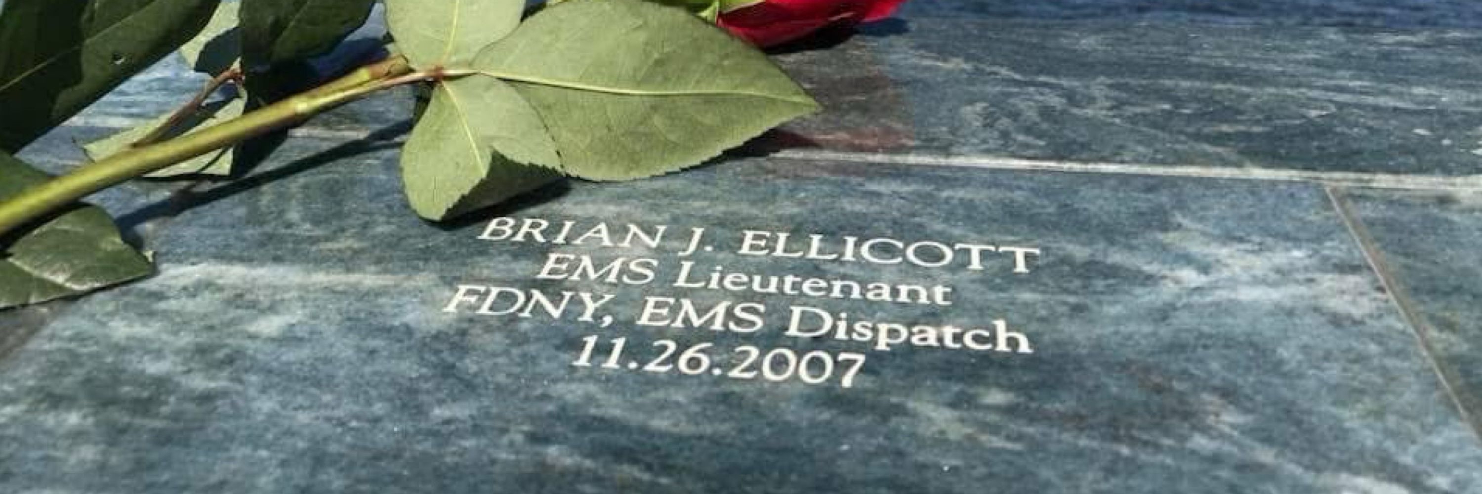 Bryan J Ellicott-Cook