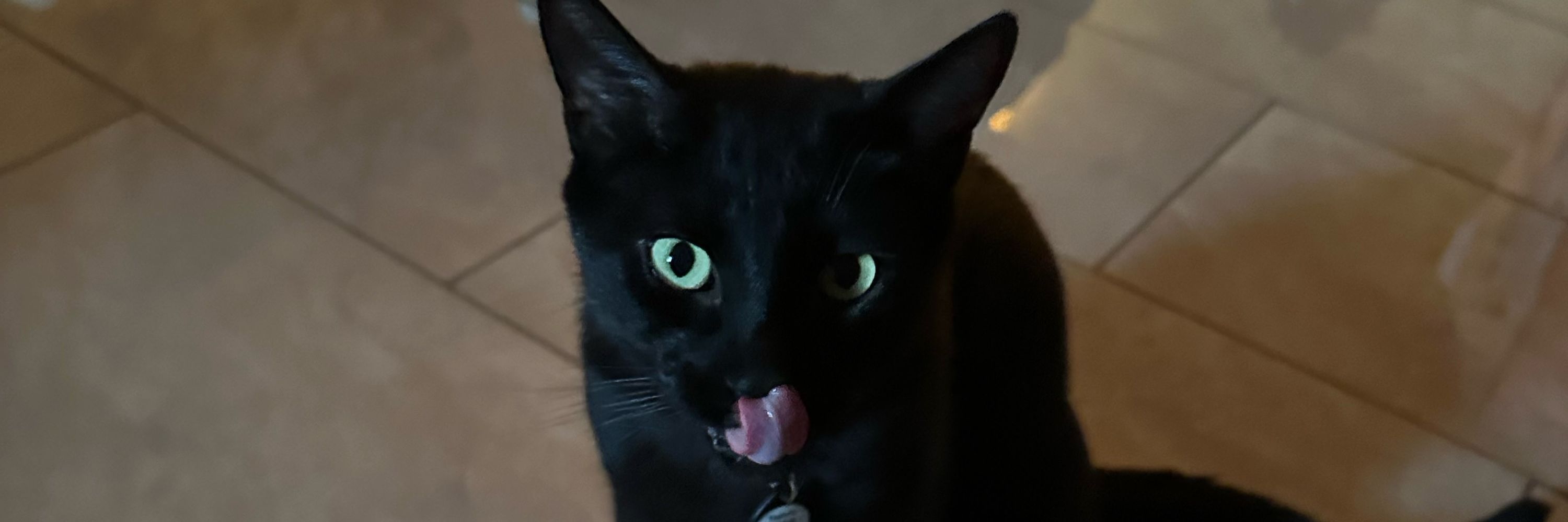 fritzi