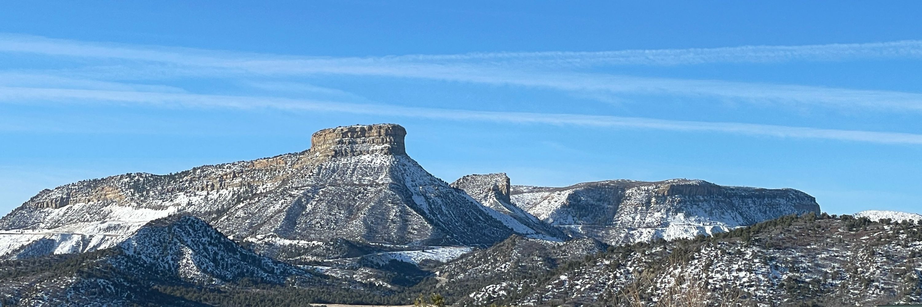 Colorado Dreaming