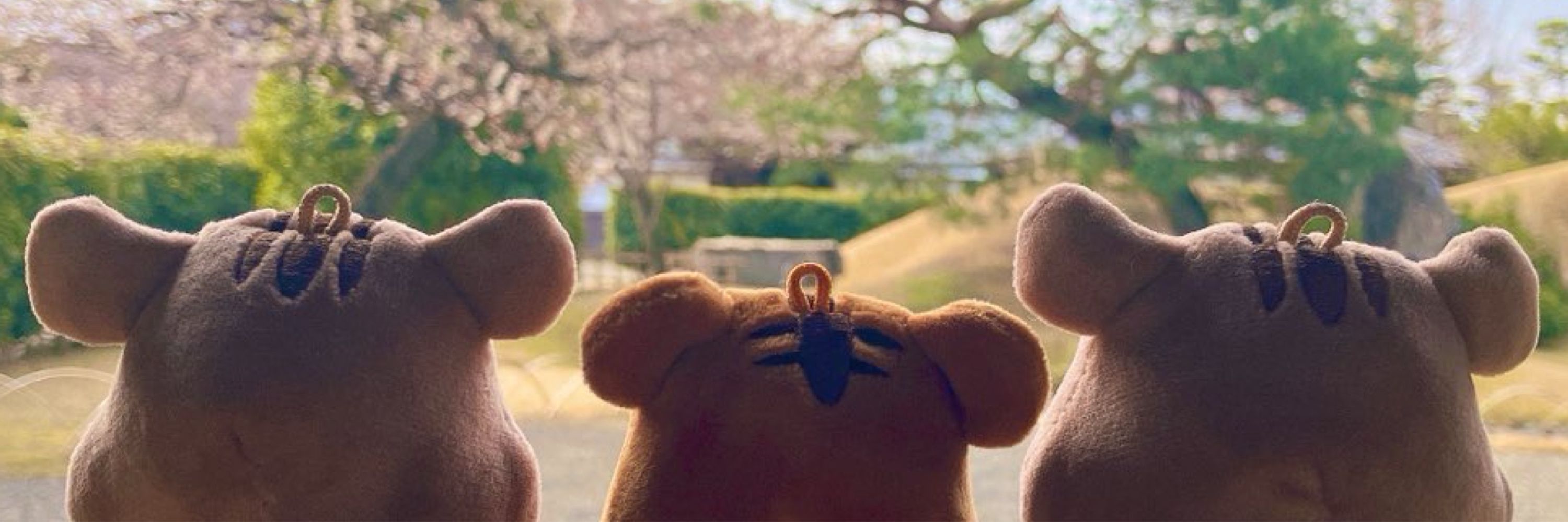 さりー