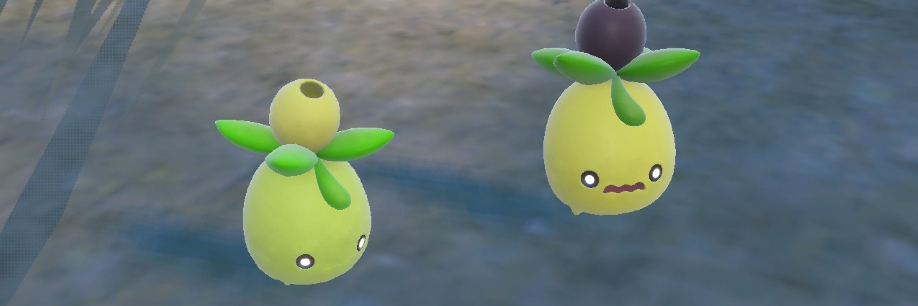 くれらっぷ