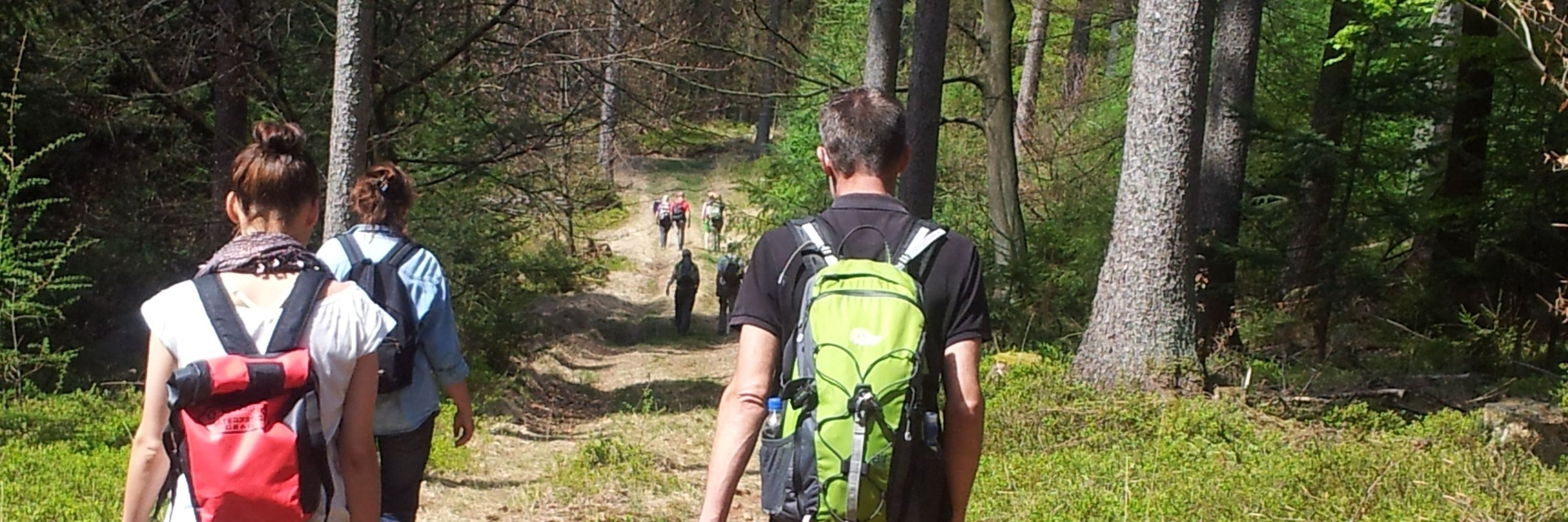DeWandeldate