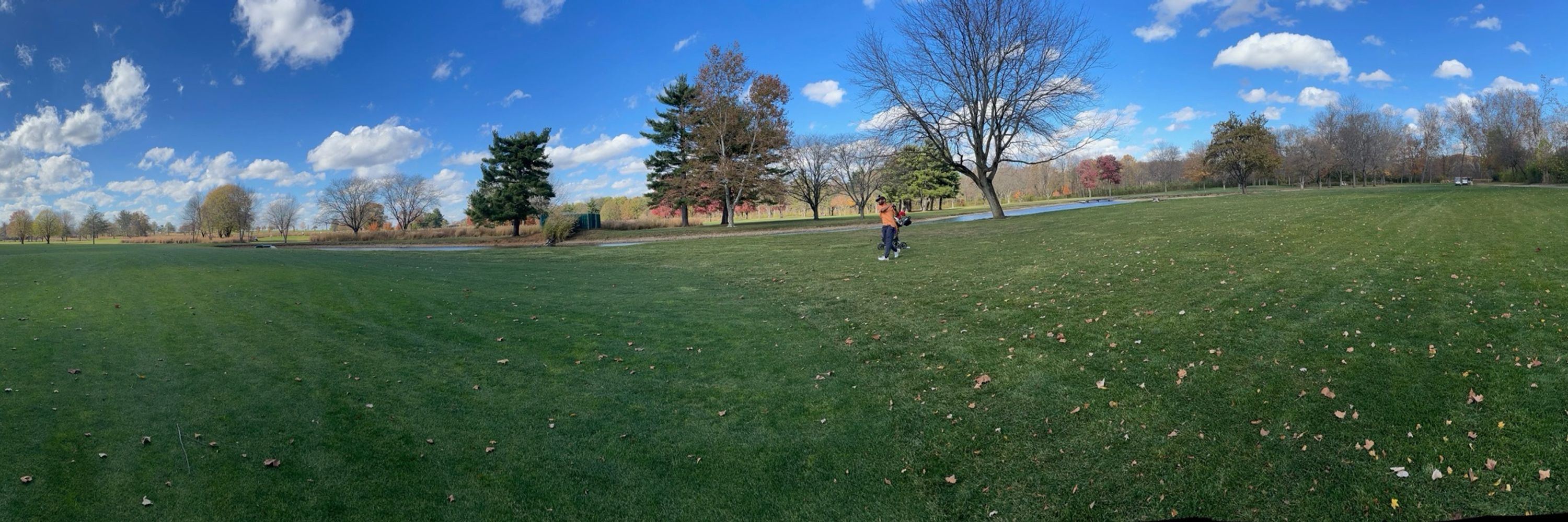 Elmo Golfs