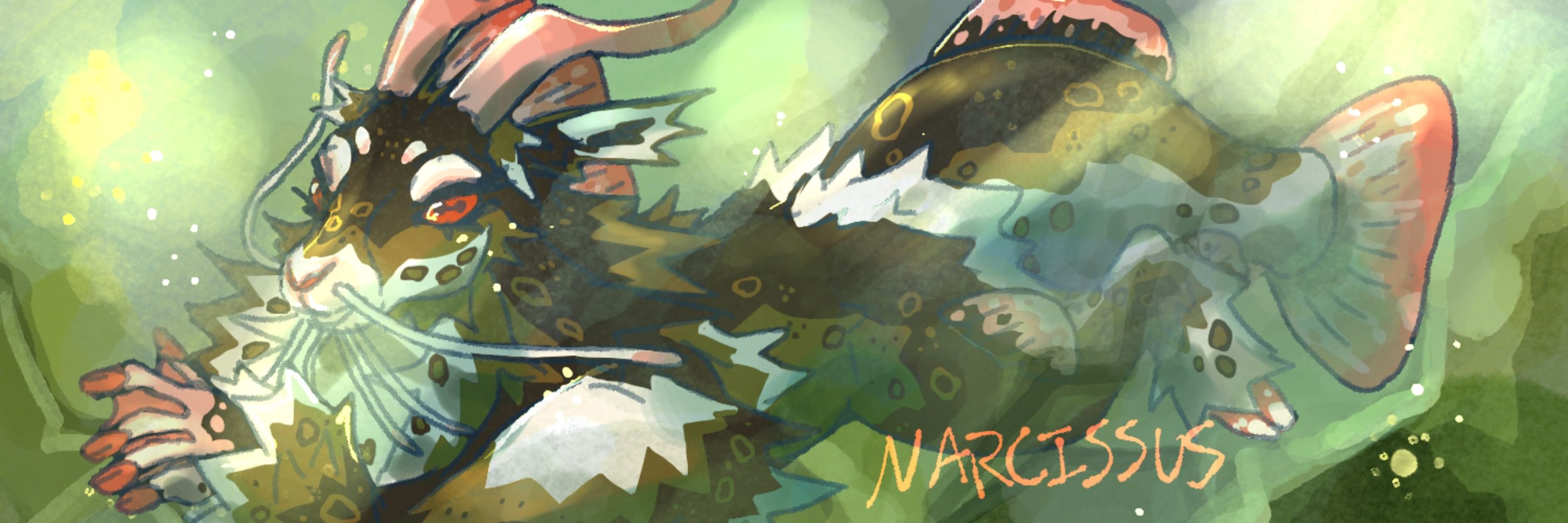 Narcissus