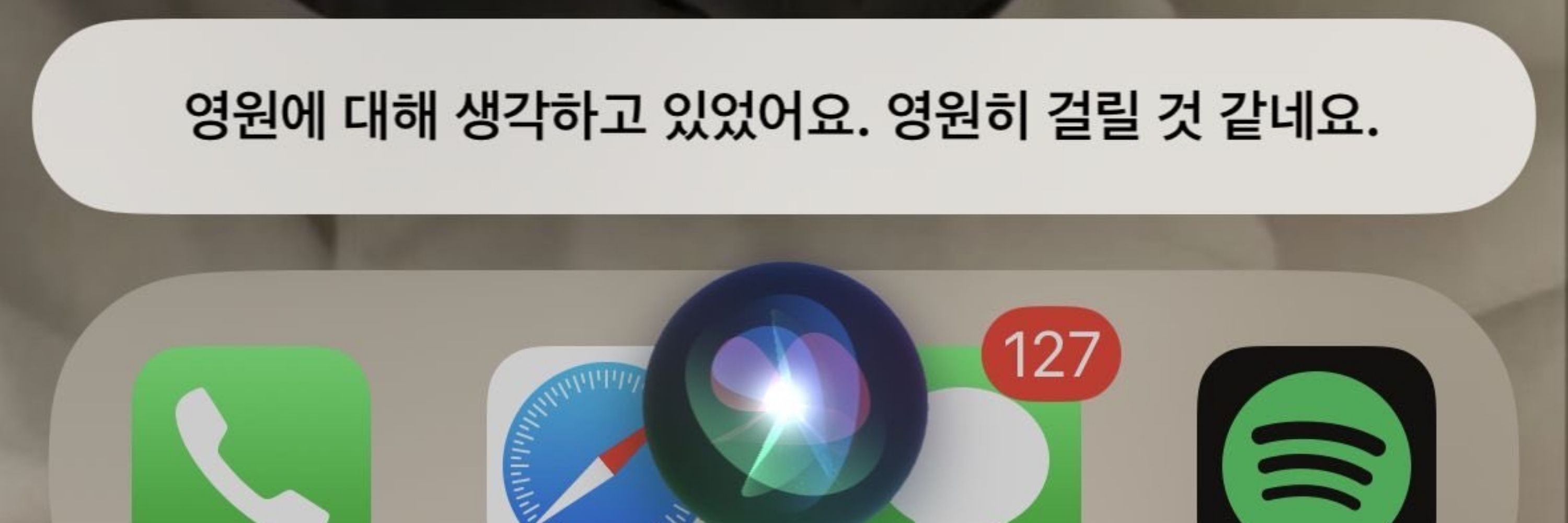 없음