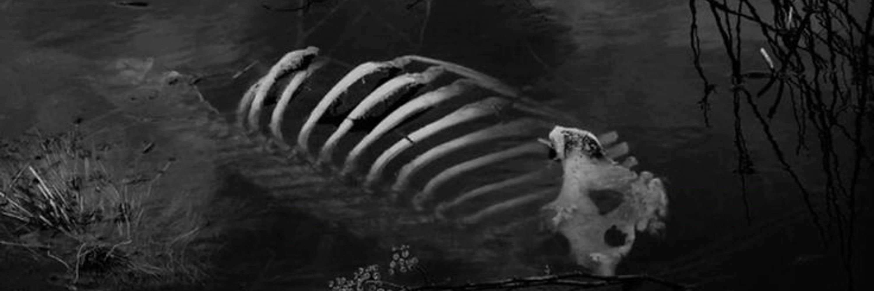 ✹𝔰𝔪𝔢𝔯𝔱✹