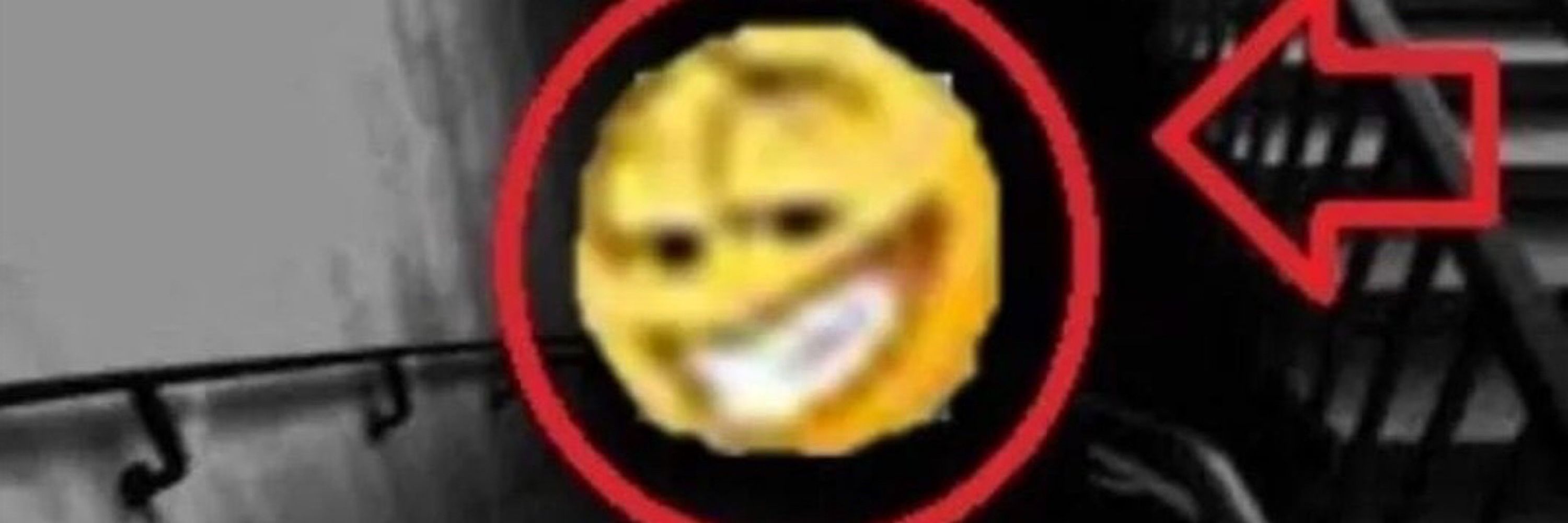 Vagabugo