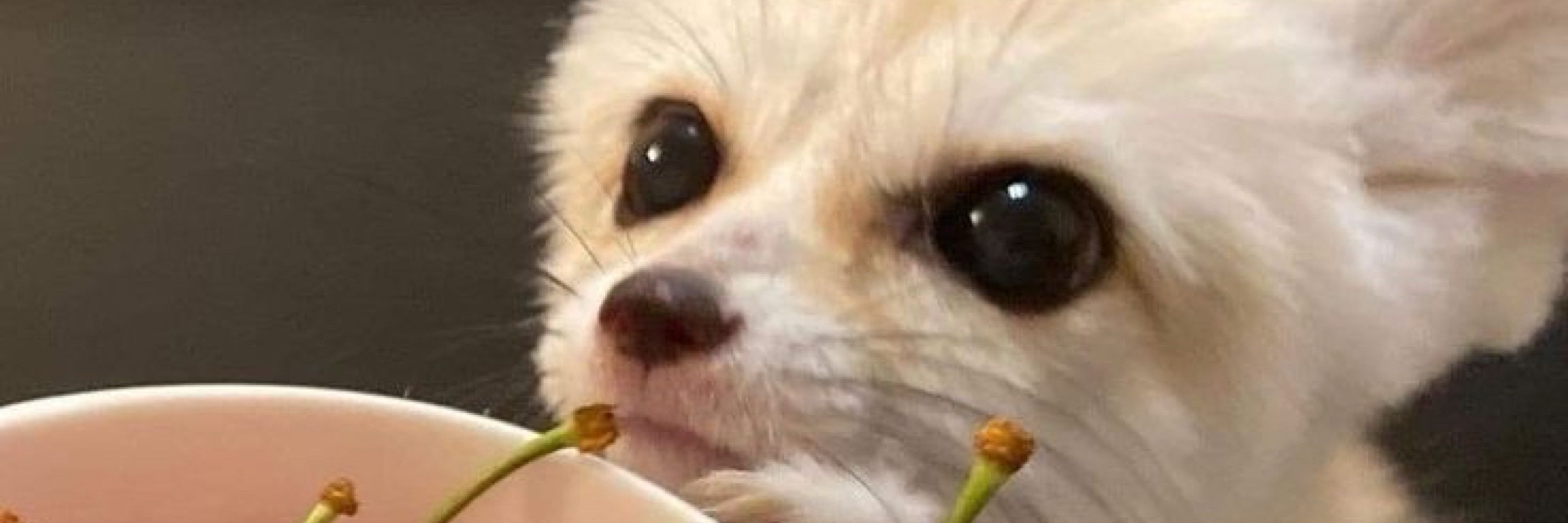 Ace 🫧