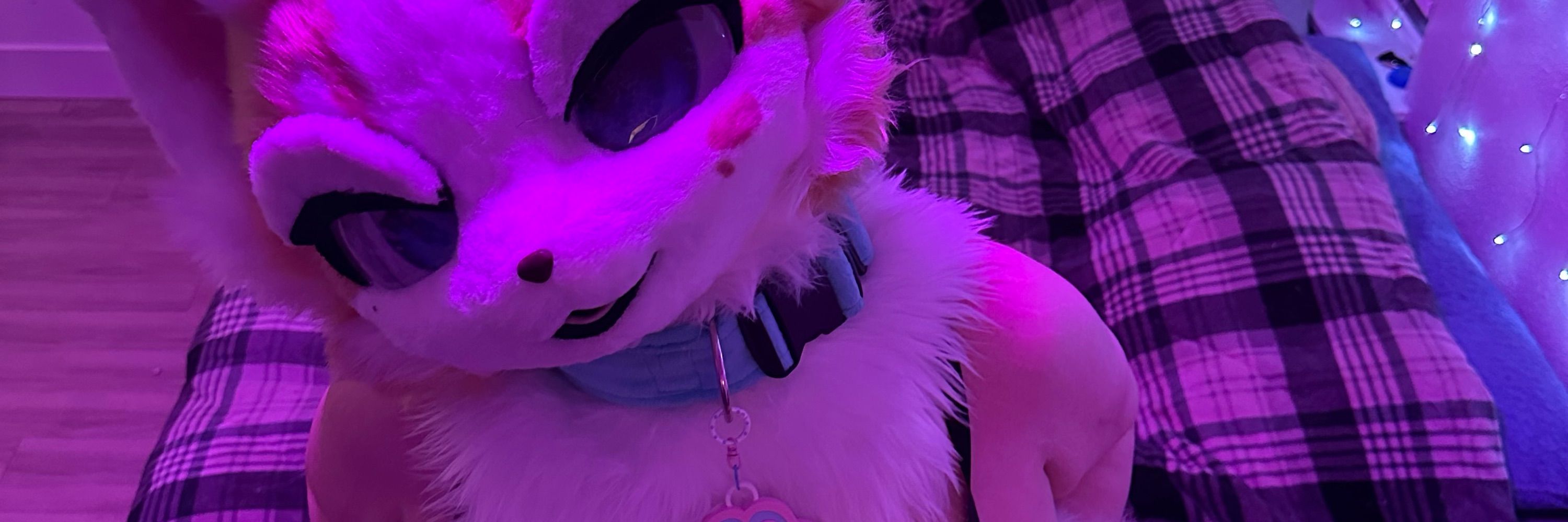 🦴 silly pup 🦴 🔞 🔜Furlandia