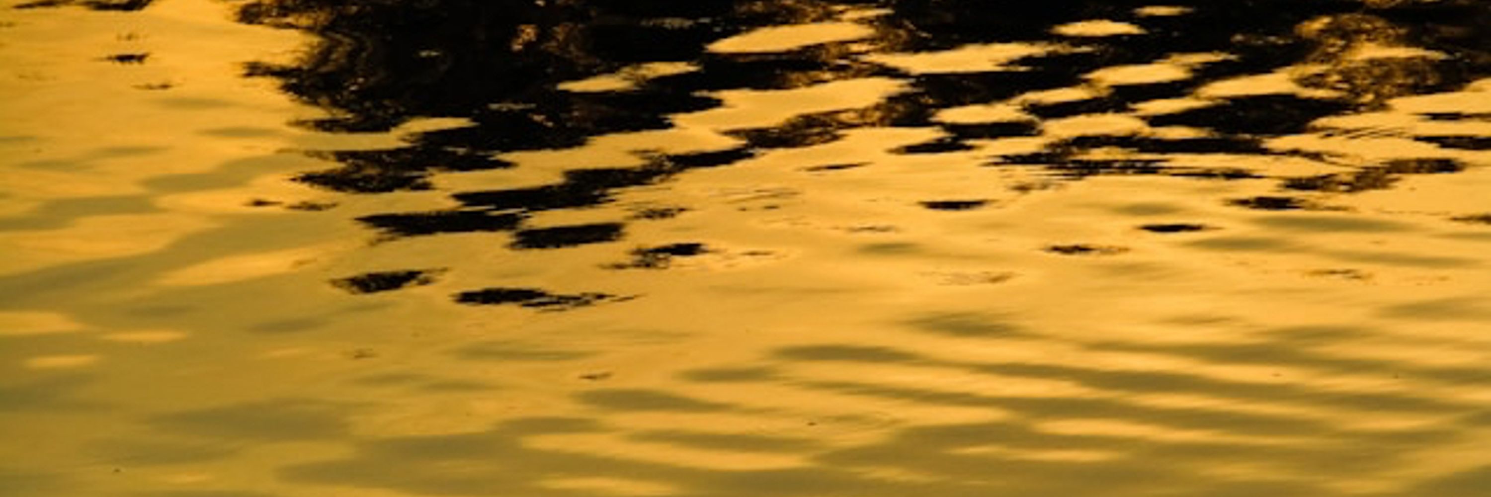 Aurature Design