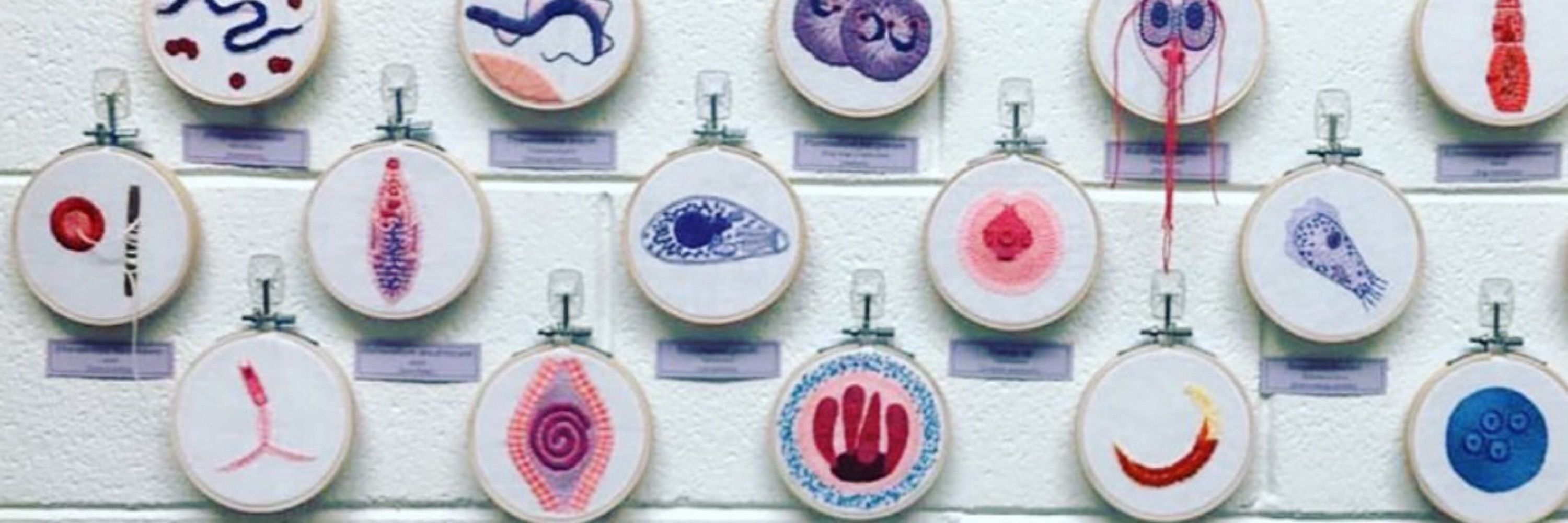 bio.stitch