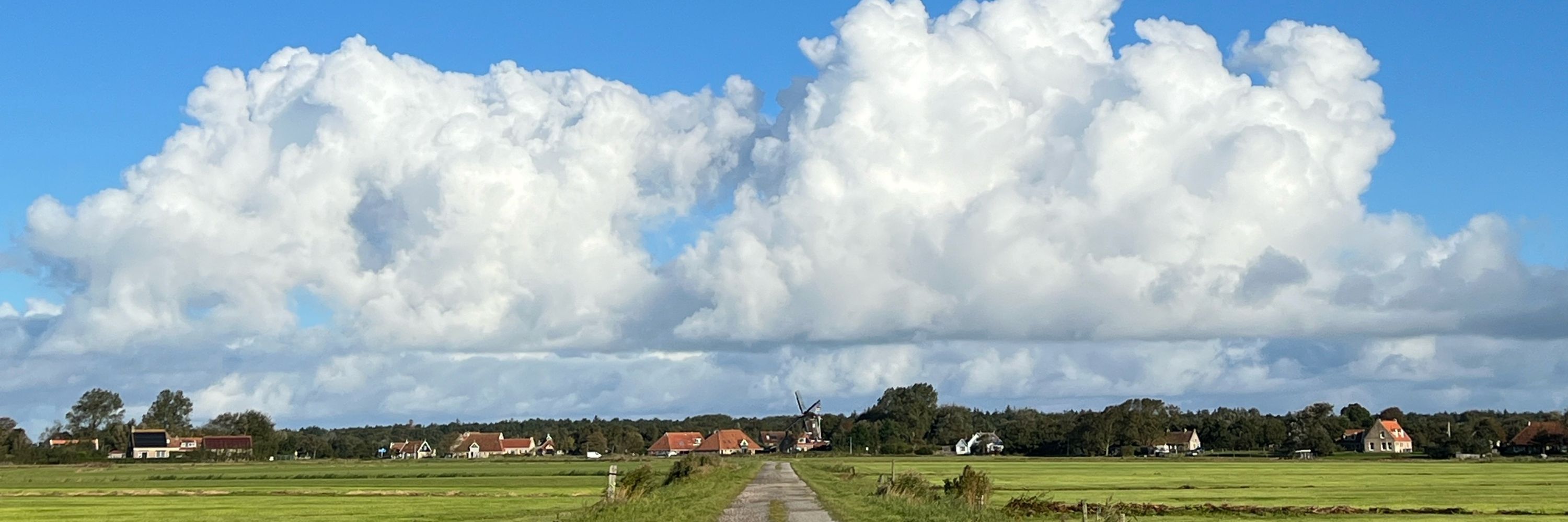Paulus Veltman