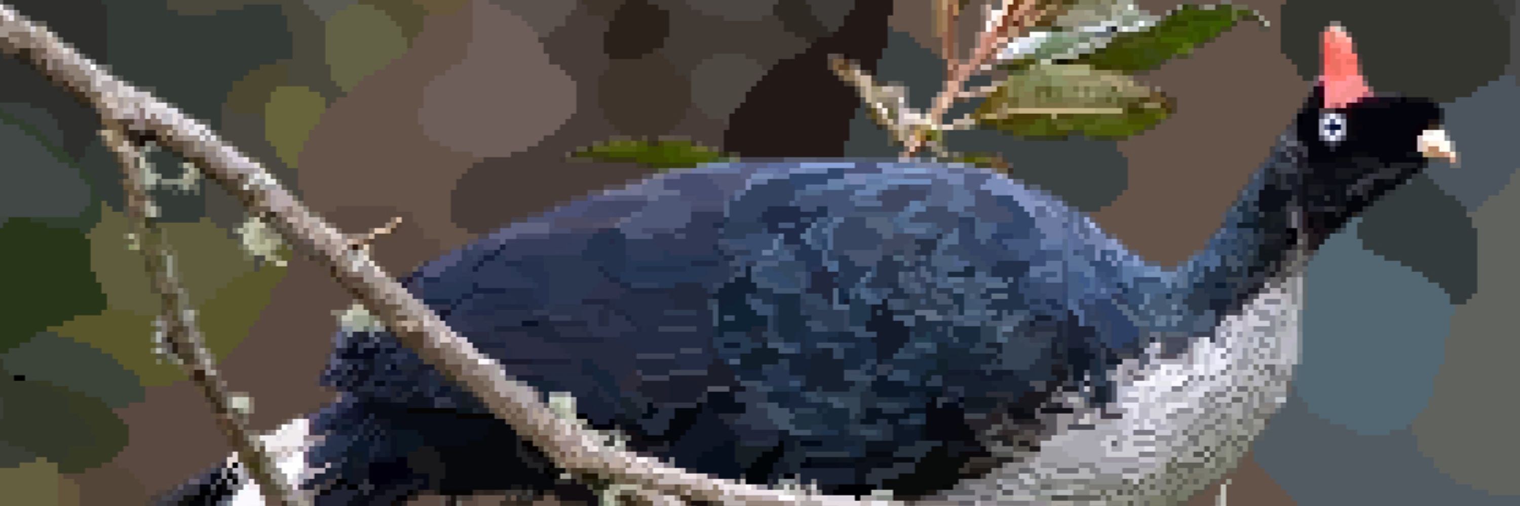 Alaska's Requiem