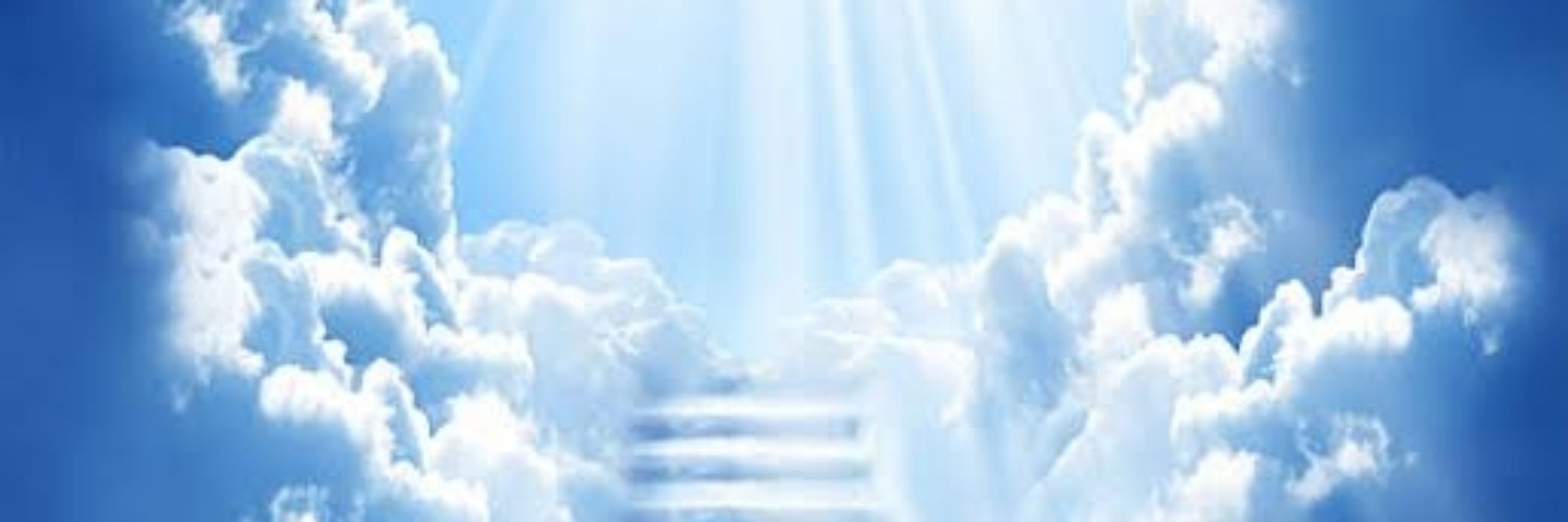 anjo SERAFIM N° 35 fiel à DEUS