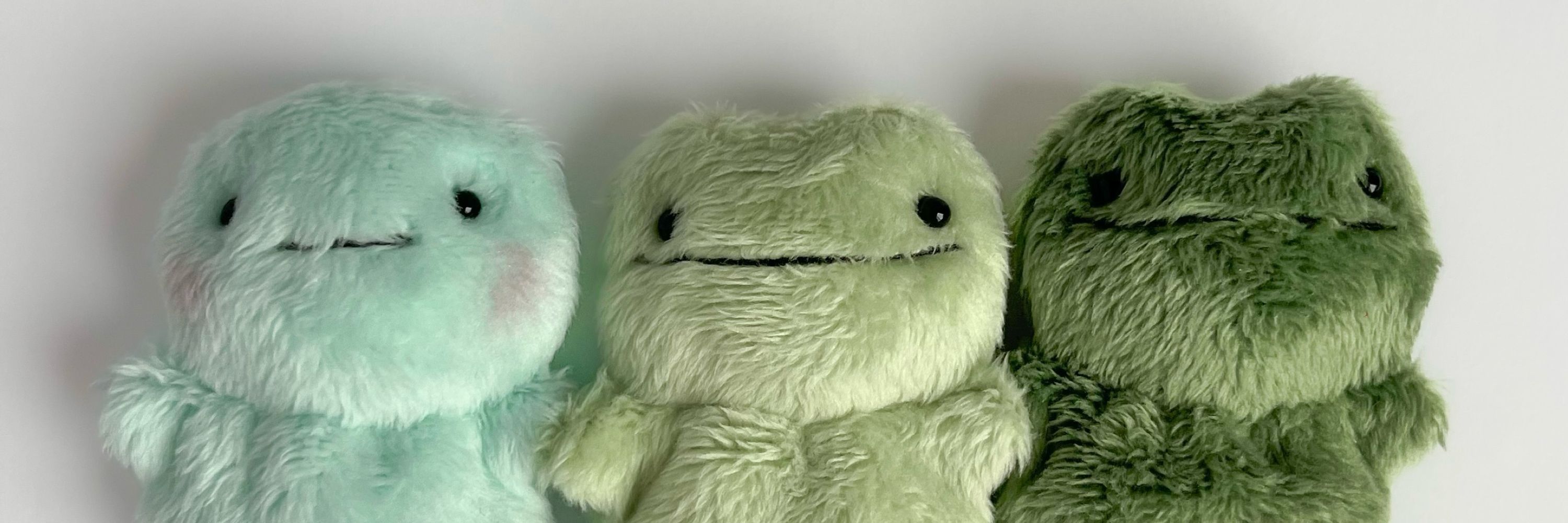 Enchanted Frogs